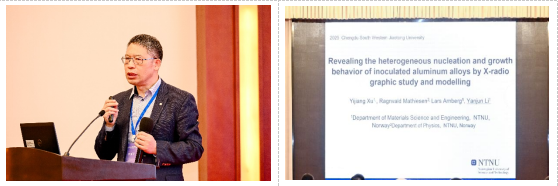 1765262376395183.png 3.png